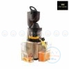 เครื่องสกัดน้ำผักผลไม้ FR-SJ01 Fry King