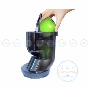 เครื่องสกัดน้ำผักผลไม้ FR-SJ01 Fry King