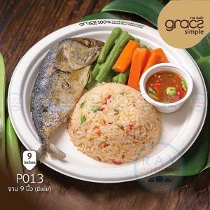 GRACZ P013 จานกระดาษ 9 นิ้ว